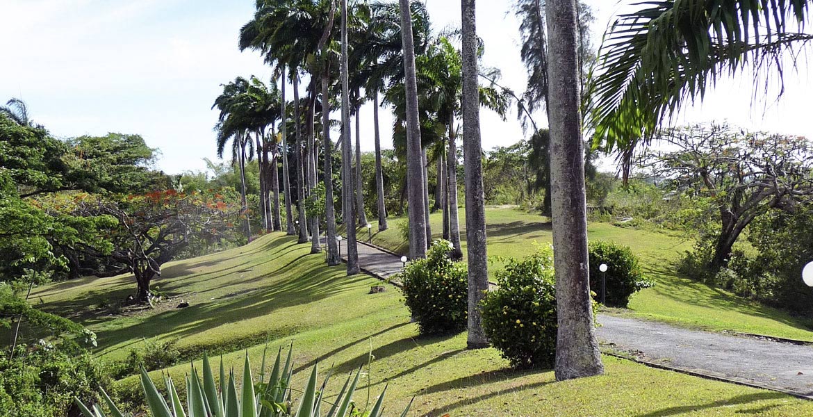 Arcadia - a myTobago guide to Tobago holiday accommodation