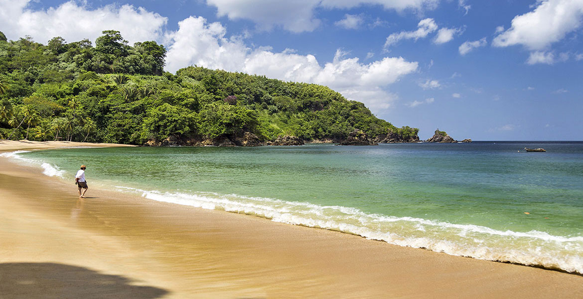 Rainforest beach along the Caribbean coast of Tobago