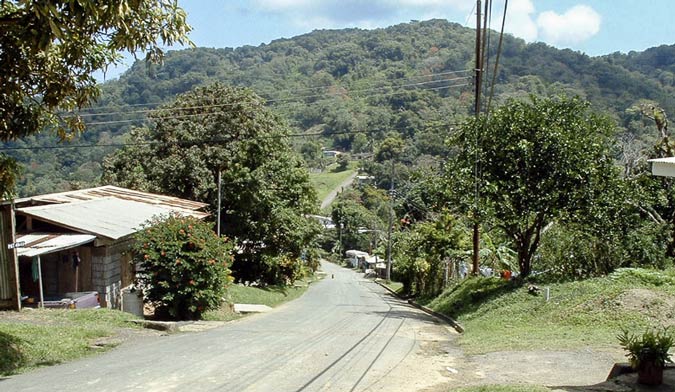 L'Anse Fourmi village, Tobago