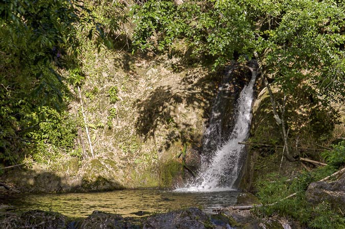 Craig Hall Waterfall, Tobago