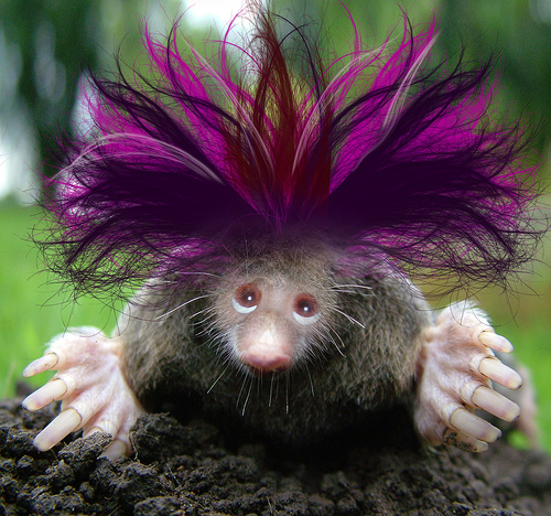 Mole after Trip To Beauty Salon.jpg