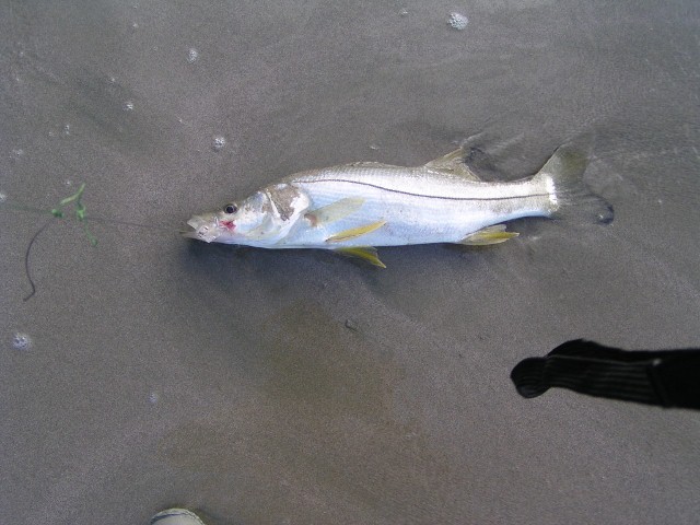 P1010345 (640x480).jpg