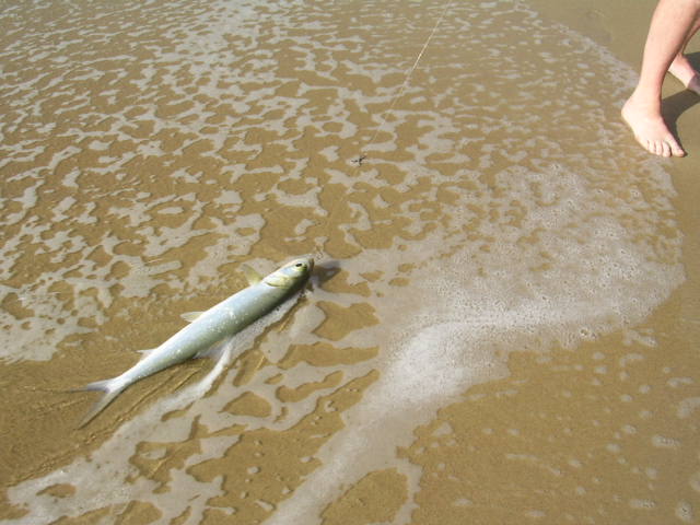 DSCN5370.JPG