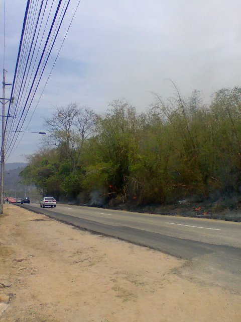 Image006.jpg