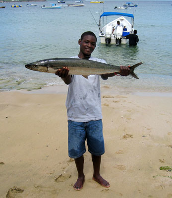 Kingfish.jpg