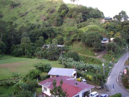 View from Hummingbird Haven.JPG