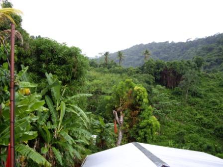 Hillside from Humingbird Haven.JPG