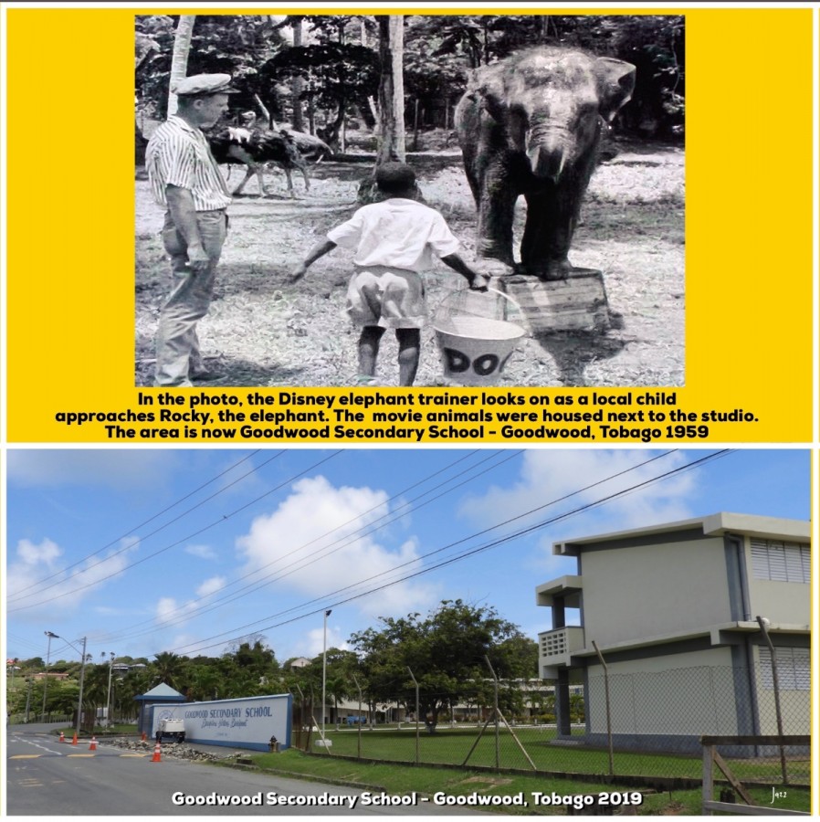 The Disney elephant trainer looks on as a local child approaches Rocky the elephant, Goodwood, Tobago