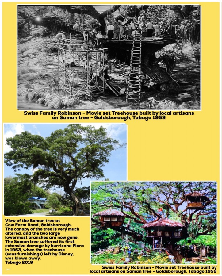 Swiss Family Robinson treehouse in Goldsborough
