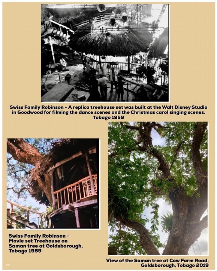 Treehouse at Goldsborough and replica treehouse at the Disney studio in Goodwood
