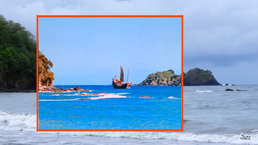 Pirate sailing the coast looking for the Swiss Family Robinson