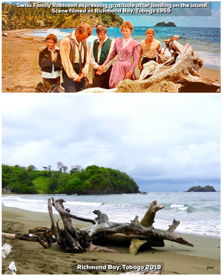 Swiss Family Robinson expressing gratitude after landing on the island.