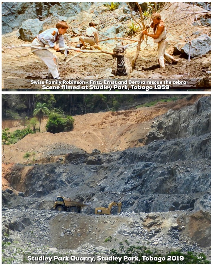 Fritz, Ernst and Bertha rescue a zebra trapped in the quicksand. Scene filmed at Studley Park,Tobago. The movie site is now the Studley Park Quarry.