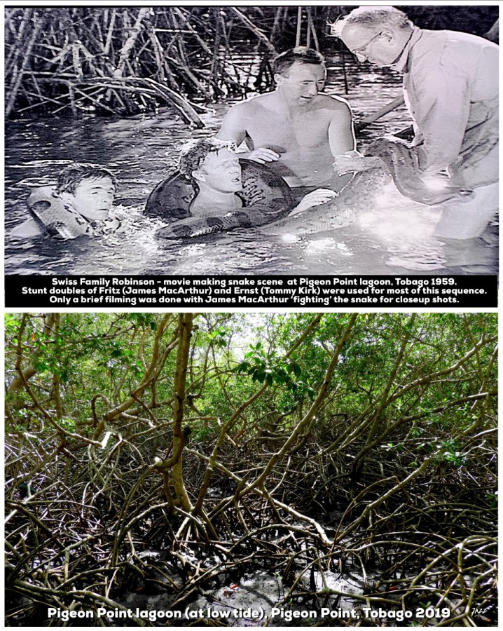 Swiss Family Robinson - movie making snake scene  at Pigeon Point lagoon, Tobago 1959.
