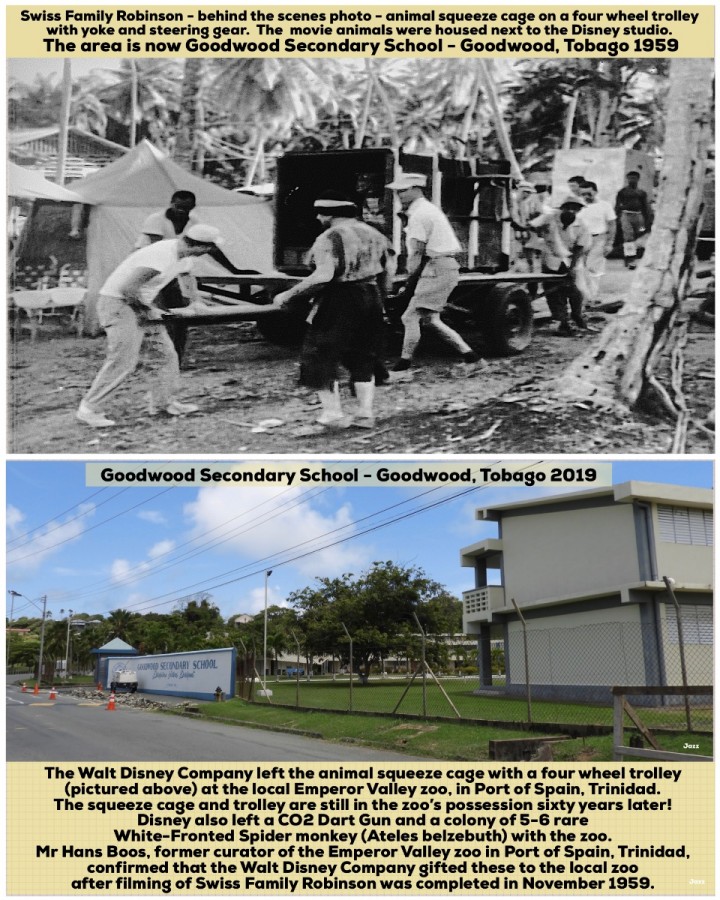 The Walt Disney Company left the animal squeeze cage with the four wheel trolley (pictured above) with the local Emperor Valley zoo in Port of Spain, Trinidad.  The squeeze cage and trolley is still in the zoo’s possession sixty years later!
