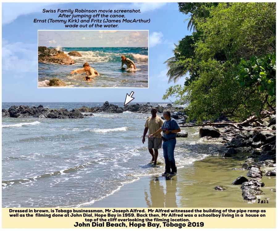 John Dial Beach (close to the cliff), Hope Bay 2019
