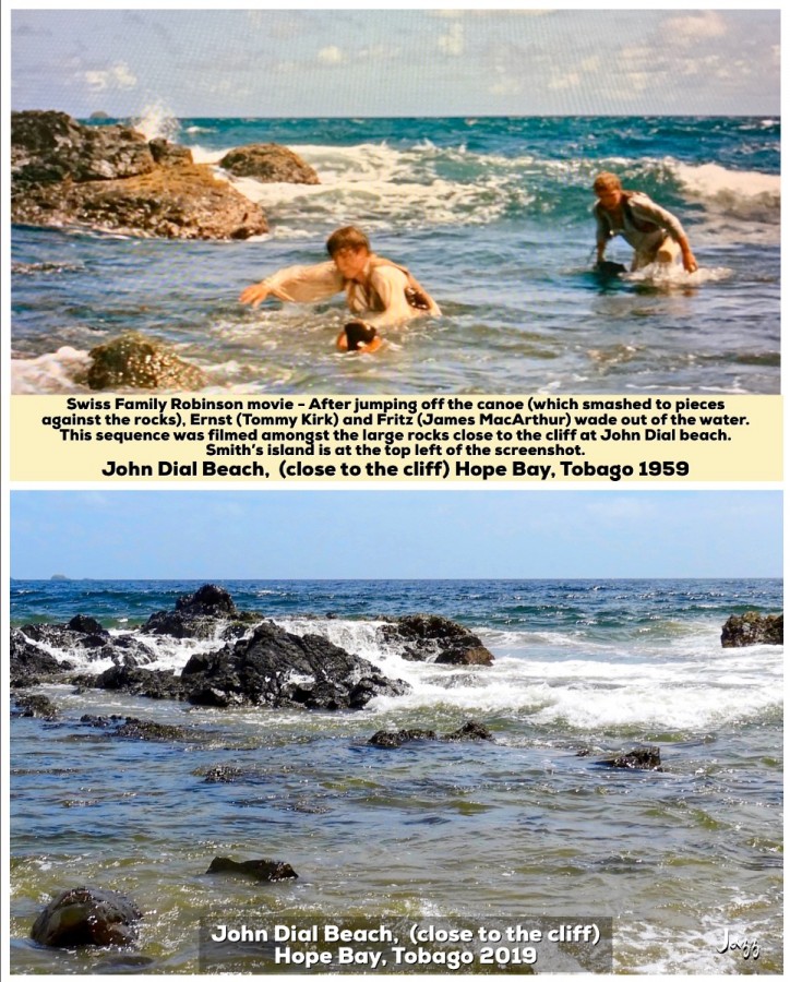 John Dial Beach (close to the cliff), Hope Bay 2019