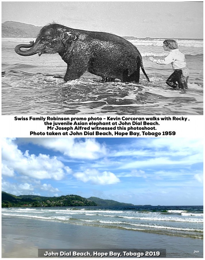 Swiss Family Robinson promo photo - Kevin Corcoran (Francis)  and Rocky the Asian elephant, John Dial Beach, Hope Bay, Tobago.
