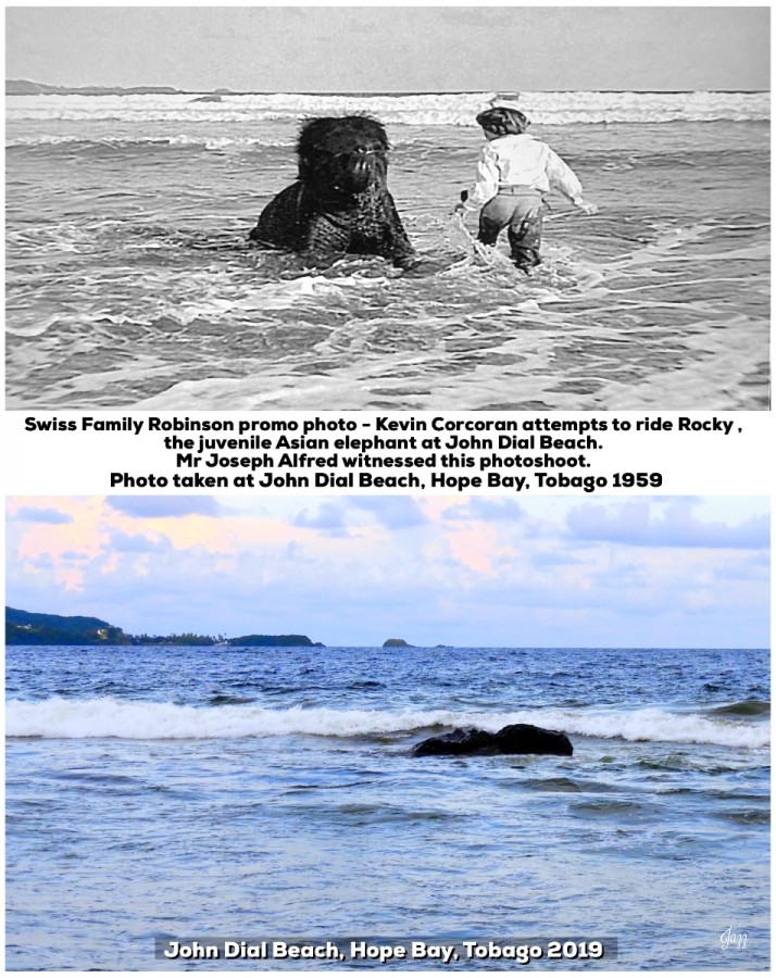 Swiss Family Robinson promo photo - Kevin Corcoran (Francis)  and Rocky the Asian elephant, John Dial Beach, Hope Bay, Tobago.