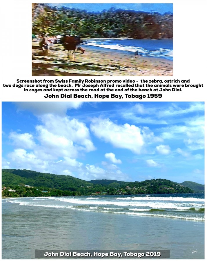 Screenshot from Swiss Family Robinson promo video -  John Dial Beach, Hope Bay, Tobago