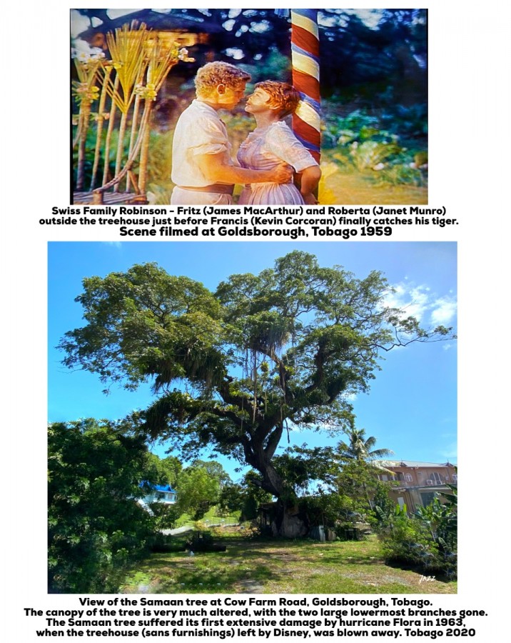 Swiss Family Robinson - Fritz (James MacArthur) and Roberta (Janet Munro) outside the treehouse just before Francis (Kevin Corcoran) finally catches his tiger.