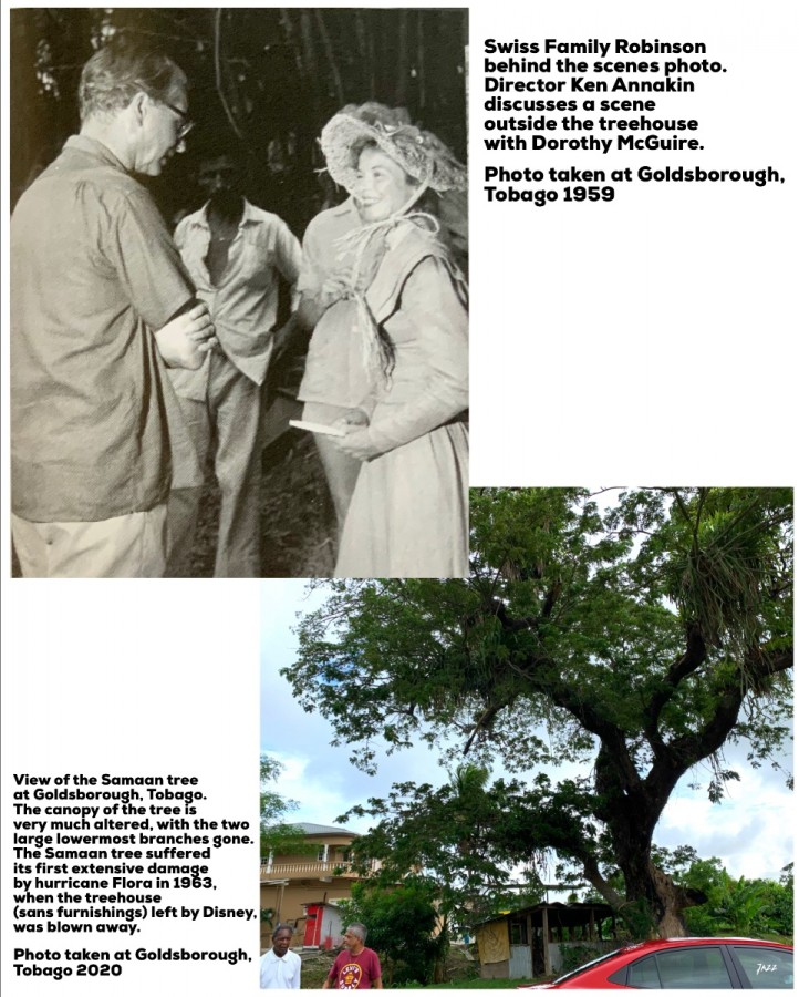 Director Ken Annakin discusses a scene outside the treehouse with Dorothy McGuire.  Photo taken at Goldsborough, Tobago 1959