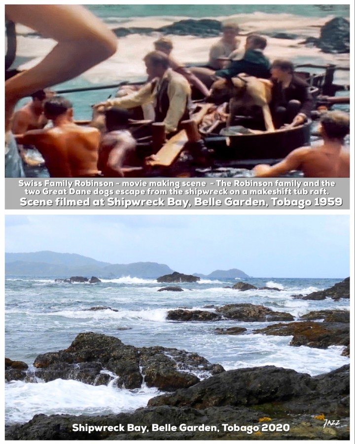 Swiss Family Robinson - movie making scene  - The Robinson family and the two Great Dane dogs escape from the shipwreck on a makeshift tub raft.