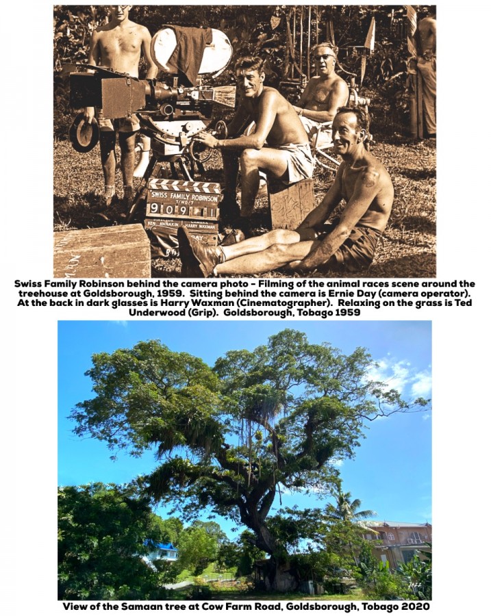 Swiss Family Robinson behind the camera photo - Filming of the animal races scene around the treehouse at Goldsborough, 1959.