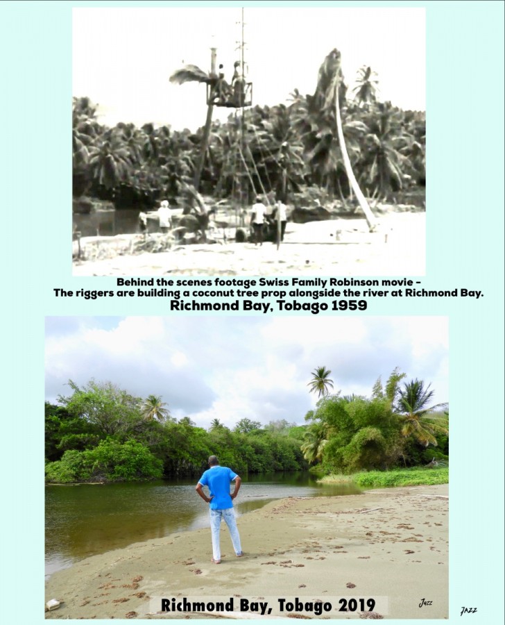 The riggers are building a coconut tree prop alongside the river at Richmond Bay, Tobago 1959