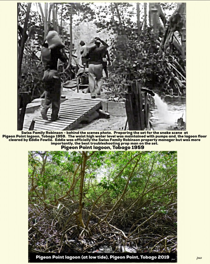Swiss Family Robinson - behind the scenes photo.  Preparing the set for the snake scene at Pigeon Point lagoon, Tobago 1959.