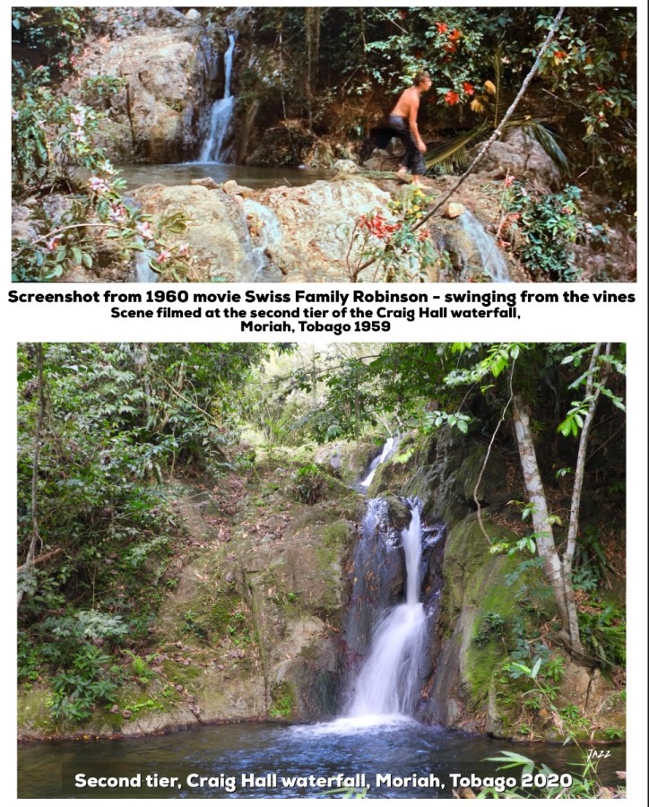 Screenshot from 1960 movie Swiss Family Robinson - swinging from the vines at Craig Hall waterfall, Moriah, Tobago.