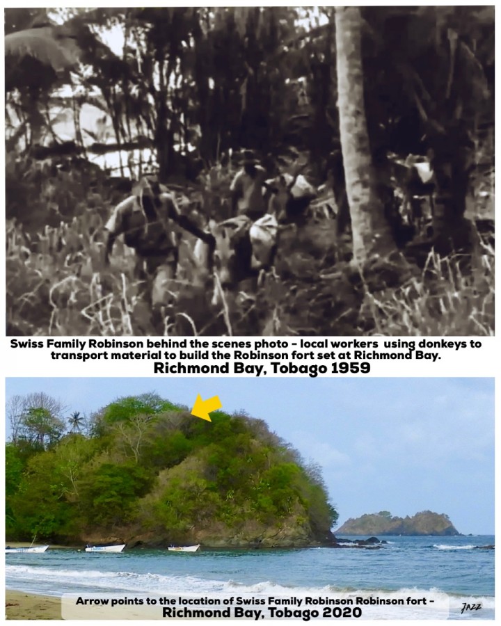 Building the Robinson family fort at Richmond Bay, Tobago 1959