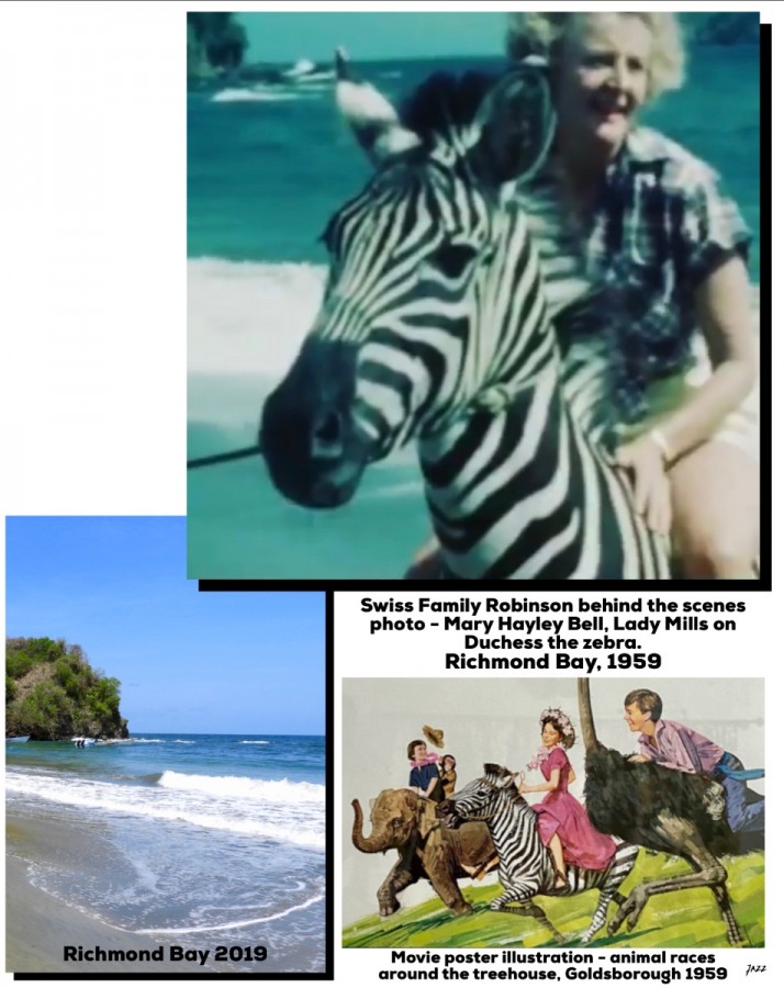 Riding the zebra - Swiss Family Robinson movie.