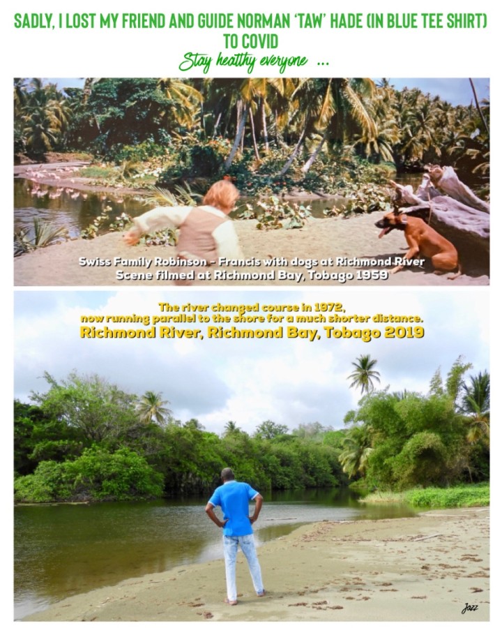 Screenshot of Francis and the dogs at the Great Dog (Richmond) River, Richmond Bay, Tobago 1959. In the now shot, the river runs parallel to the beach for a much shorter distance.