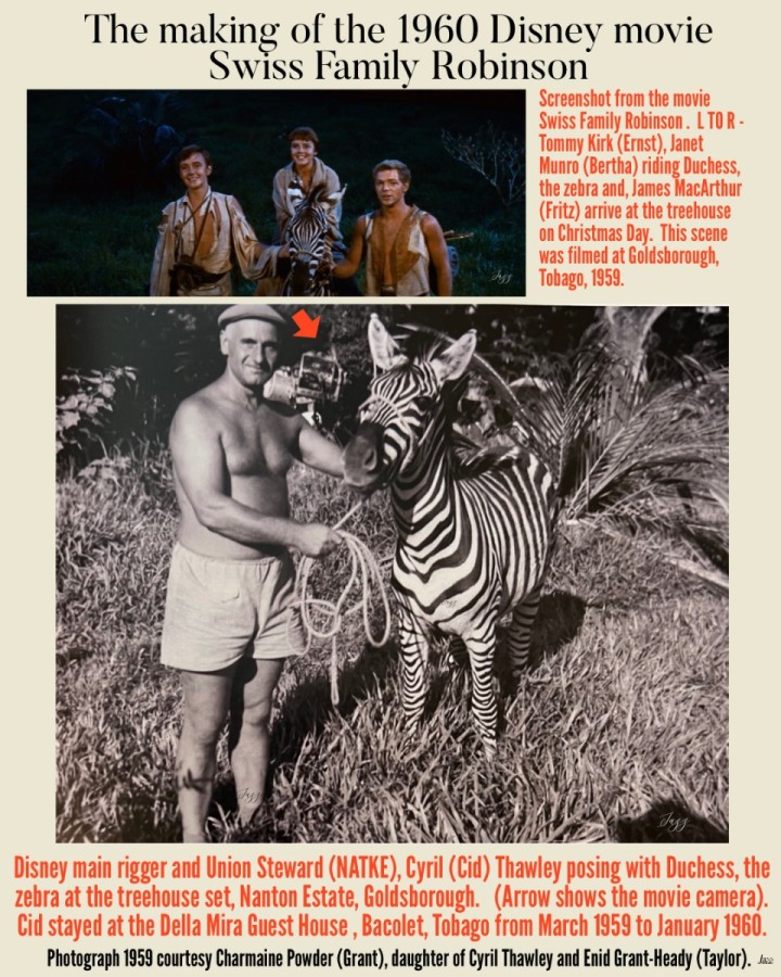 The making of the 1960 Disney movie Swiss Family Robinson
