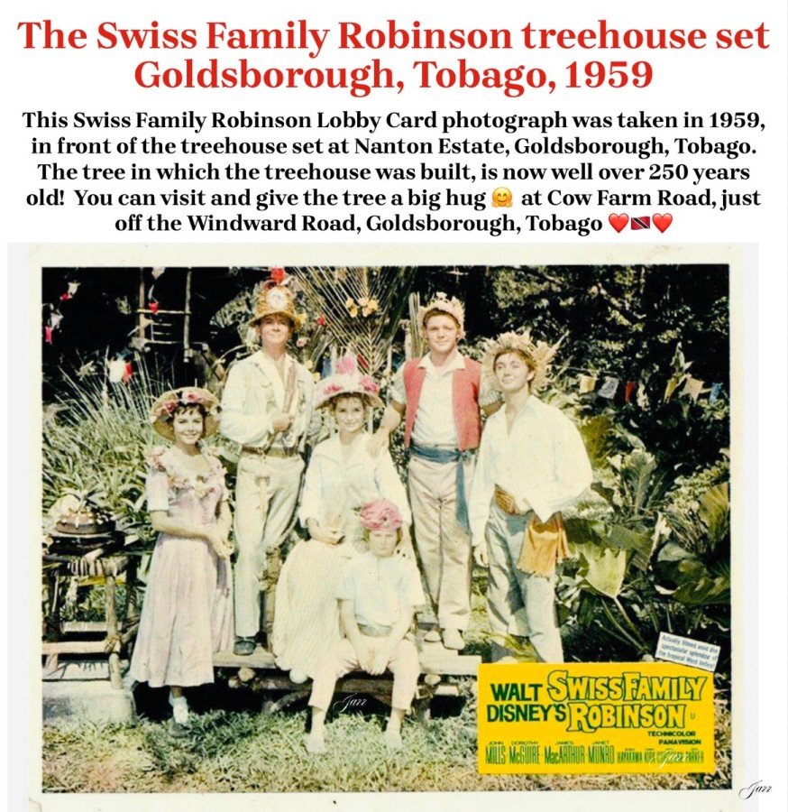 Swiss Family Robinson Lobby Card