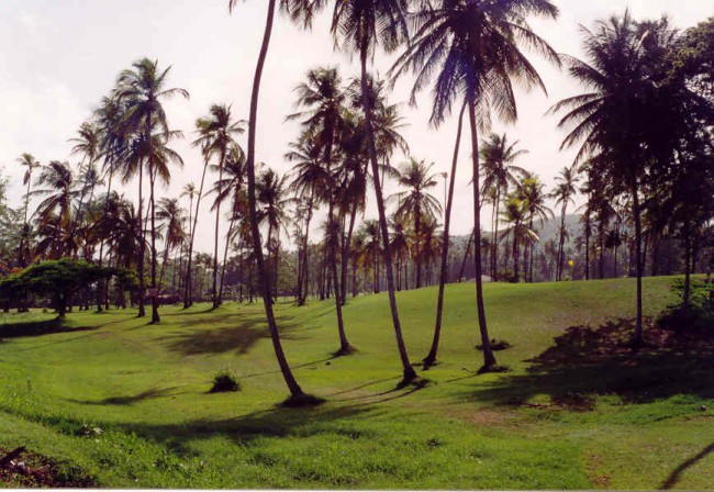 Mt Irvive golf lane, picture 2.jpg