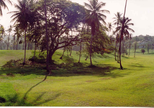 Mt Irvive golf lane, picture 3.jpg
