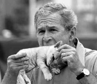 georgeeatscat.jpg