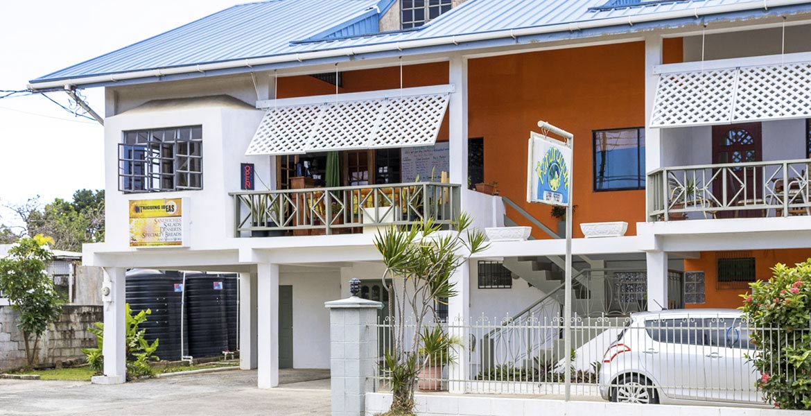 Bananaquit - a myTobago guide to Tobago holiday accommodation