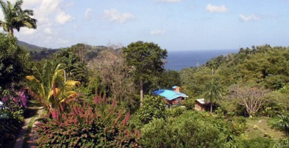 SillyCotton Valley - a myTobago guide to Tobago holiday accommodation