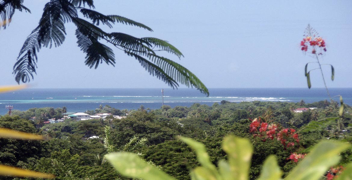 Nest Tobago Apartments, The - a myTobago guide to Tobago holiday accommodation