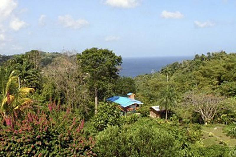 SillyCotton Valley, Parlatuvier, Tobago