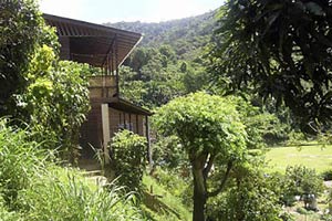 Hummingbird Haven, Tobago