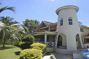 Pellicano, Tobago