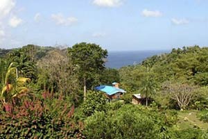 SillyCotton Valley, Tobago