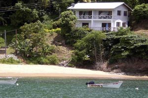 Sea Shell, Tobago