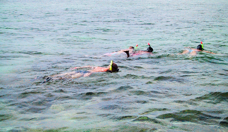 Snorkelling in Tobago