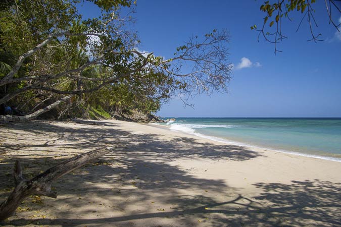 Grange Beach, Tobago