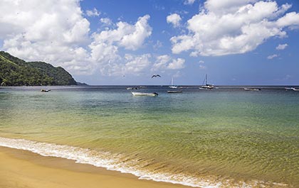 Calm Castara beach